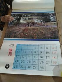 挂历1989年  吉祥如意 (缺5月.7月.)