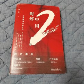 时评中国2：用静能量对抗狂热