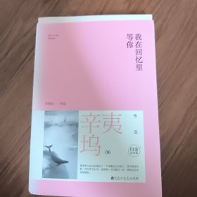 我在回忆里等你