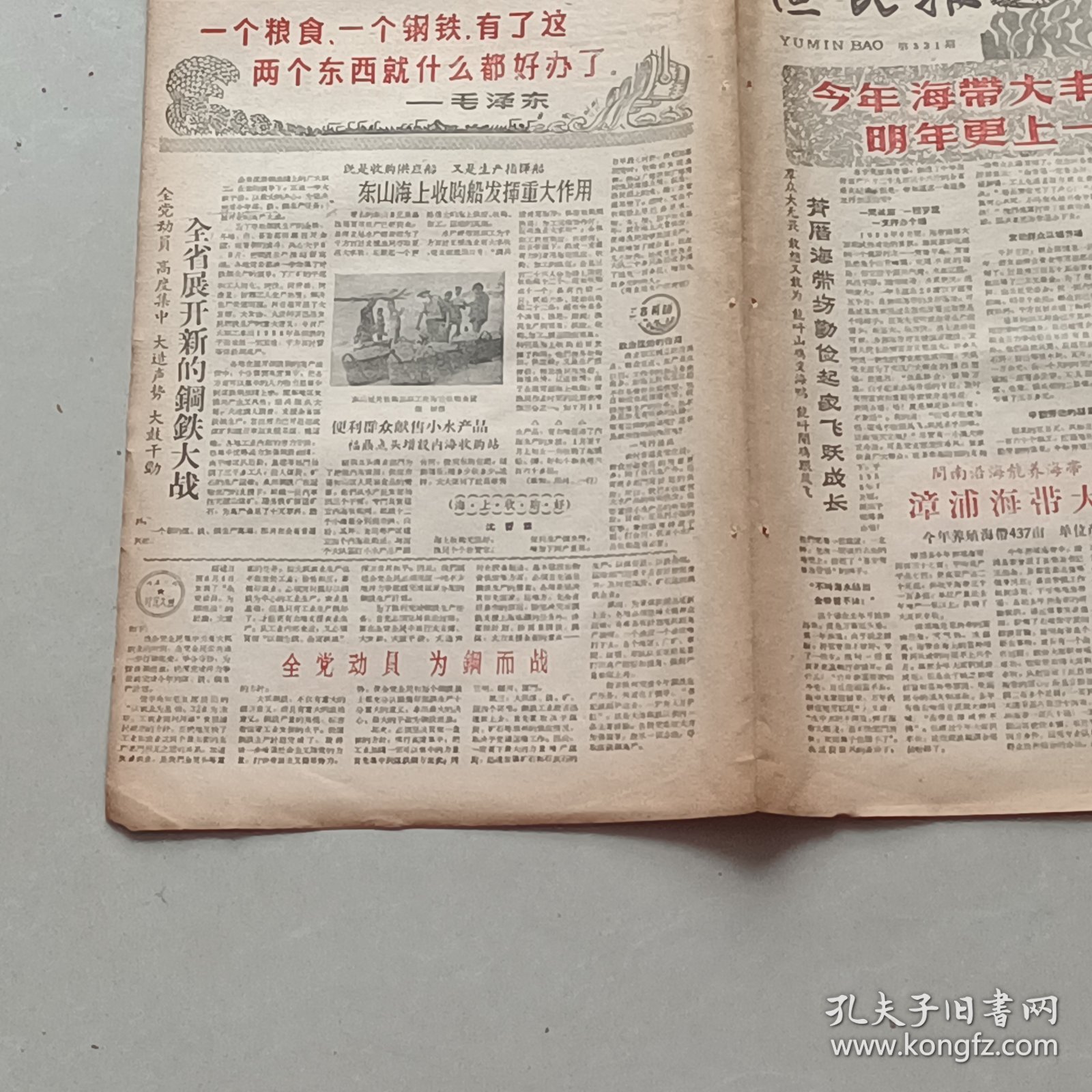 老报纸渔民报1960年8月惠安萧厝海带场丰收惠安飞跃公社前垵大队完成备汛福鼎沙埕公社组织“娘子军”加速备汛同安琼江民兵营长 林红毛技术革新惠安县飞跃公社崇武民兵团“七一”曾举行了一次检阅大会东山海上收购船