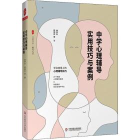 中学心理辅导实用与案例 教学方法及理论 林甲针 等 新华正版