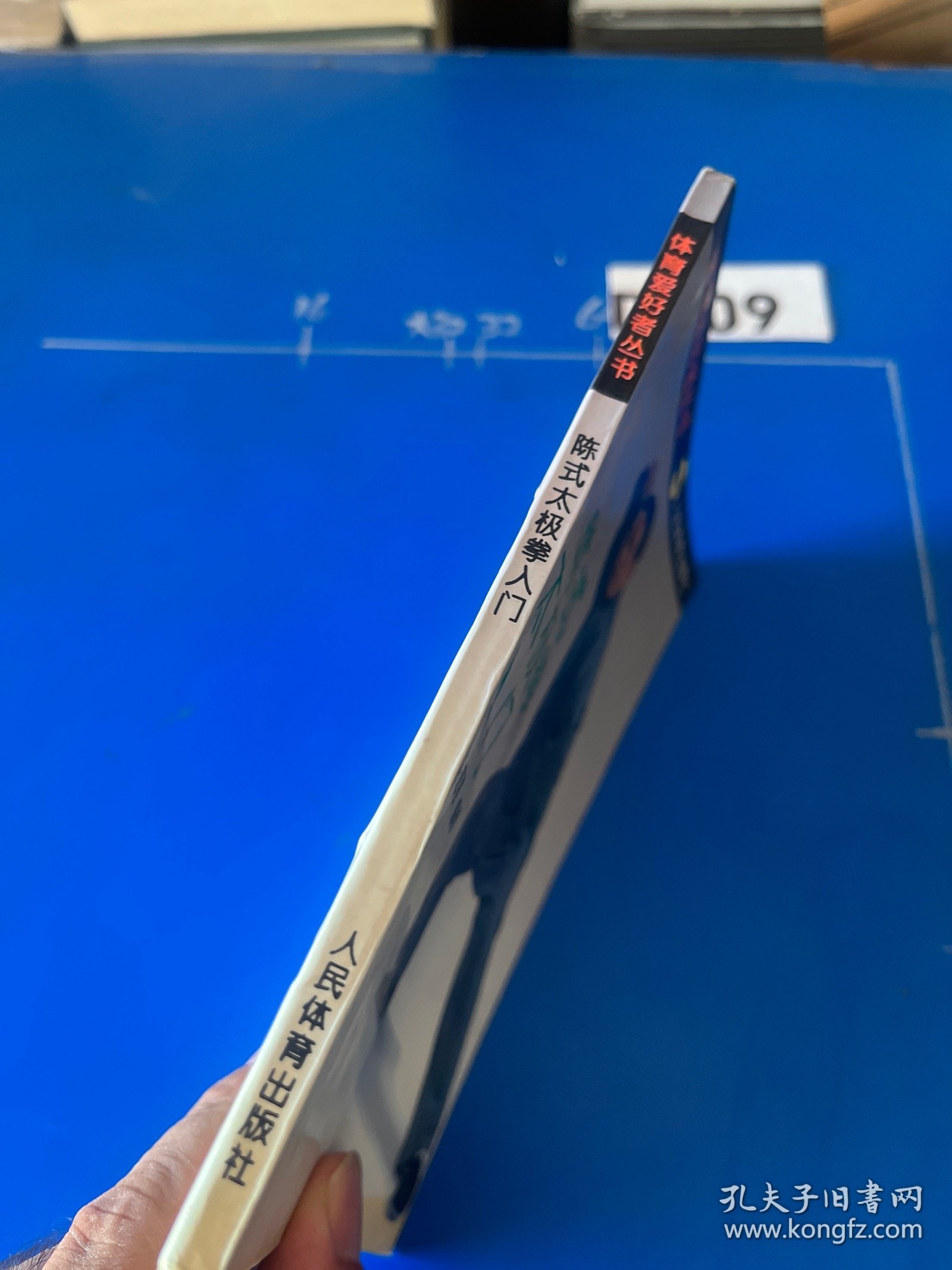 陈式太极拳入门