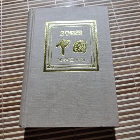 20世紀(jì)的中國.文學(xué)藝術(shù)卷