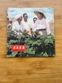 农民画报 1958年10