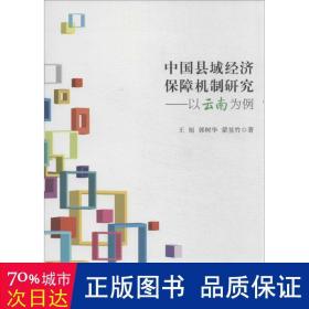 中国县域经济保障机制研究：以云南为例