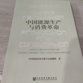 CCIEE智库丛书：中国能源生产与消费革命