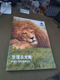 治理在觉醒 中国公司治理进化史