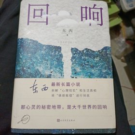 东西最新长篇小说：回响（精装）