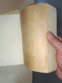 再生缘 秦纪文演出本，有霉味