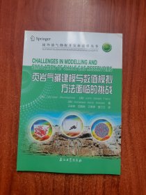 页岩气藏建模与数值模拟方法面临的挑战