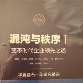 混沌与秩序1：变革时代企业领先之道