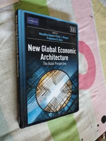 NEW GLOBAL ECONOMIC ARCHITECTURE