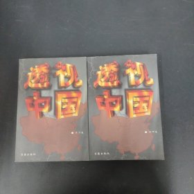 透视中国 第2、4卷 2本合售