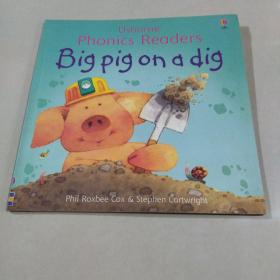 BigPigonaDig