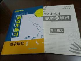 2024导与练高中总复习微点小练习：高中语文（新教材）