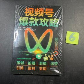 视频号爆款攻略：洞悉视频号的底层逻辑，吃透流量红利