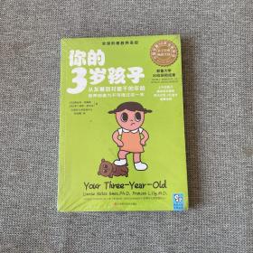 你的3岁孩子：从友善到对着干的年龄，培养创造力不可错过这一年