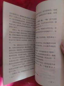 她的代号白牡丹