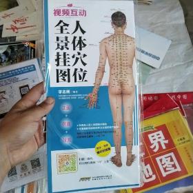 中国首创二维码挂图：视频互动人体穴位全景挂图（防水 耐折 撕不烂）