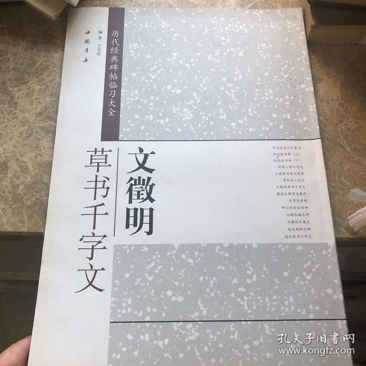 历代经典碑帖临习大全：文徵明草书千字文