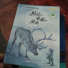 精灵与圣诞的秘密