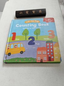 Counting Book (Lift-the-Flap)