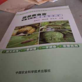 蔬菜病虫害诊断与防治原色生态图谱/蔬菜产业农民培训精品教材