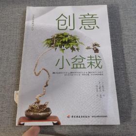 创意小盆栽