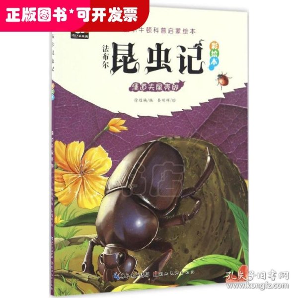 法布尔昆虫记（彩绘本）·清道夫屎壳郎