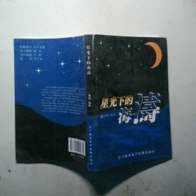 星光下的海濤