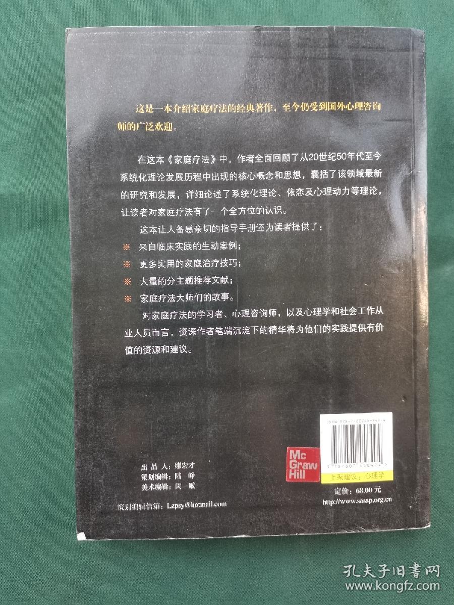 家庭疗法：系统化理论与实践