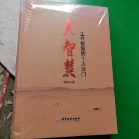 大智慧：生命智慧的十大法门