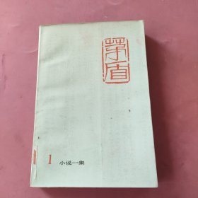 茅盾1小说一集