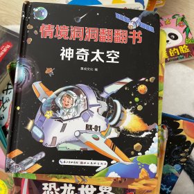 情境洞洞翻翻书神奇太空