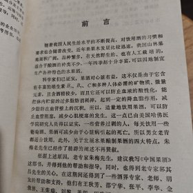 中国果酒