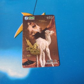 瑕疵卡！中国网通 面值30元充值卡原固定电话缴费卡：“动物爱的瞬间骆驼”JLJ-TP-57-4(4-2) 中国网通吉林省分公司