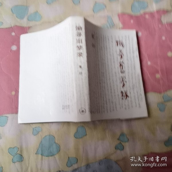 懒寻旧梦录