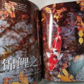 华夏地理201110,总第112期(辛亥百年纪念专辑)