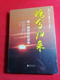 魂兮归来：金一南讲抗日战争