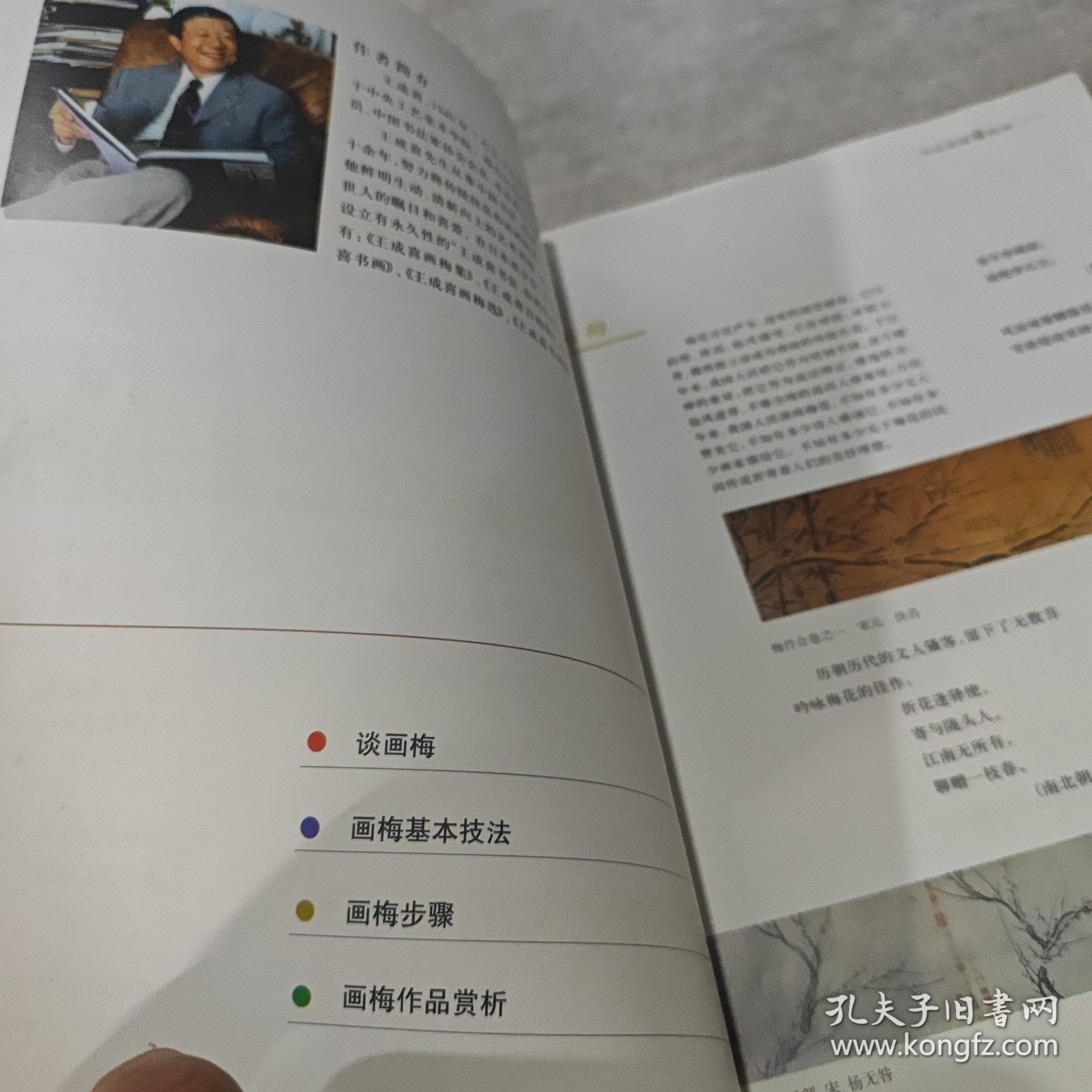 王成喜画梅技法