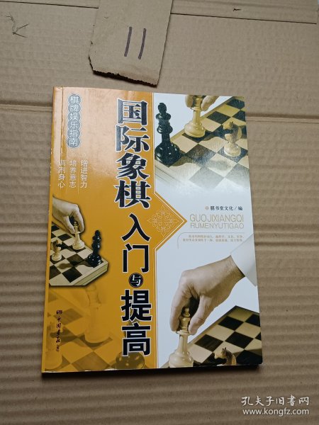 棋牌娱乐指南：国际象棋入门与提高