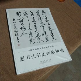 赵万江书法作品精选 中国高等美术院校教学范本