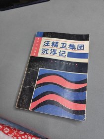 汪精卫集团沉浮记