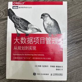 大数据项目管理从规划到实现