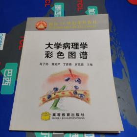 大学病理学彩色图谱（彩色铜板纸精印 一版一印）