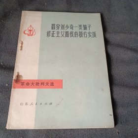 戳穿——修正主义路线的极右实质