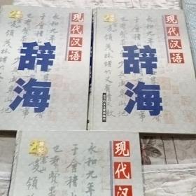 现代汉语辞海（上中下）