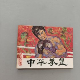 中華拳星