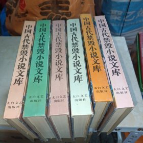 中国古代禁毁小说文库（全6册）精装