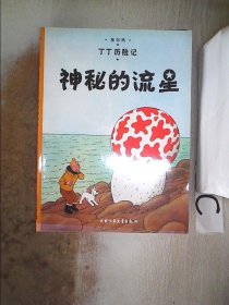 丁丁历险记·神秘的流星